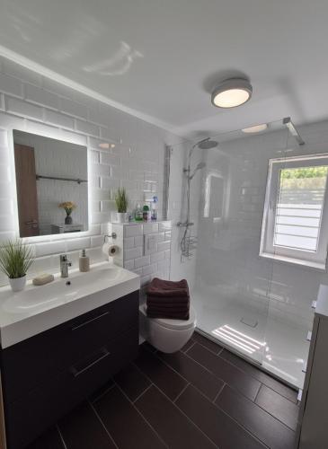 a bathroom with a sink and a toilet and a shower at Badacsonyi rege in Badacsonytördemic