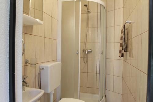 a bathroom with a shower and a toilet and a sink at House Drakulić in Korenica