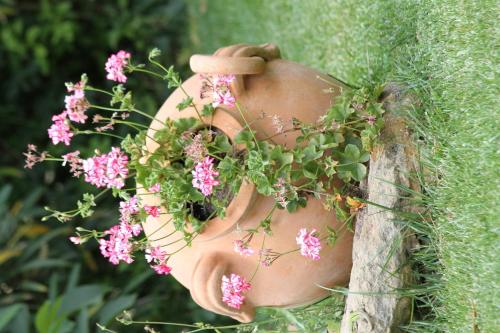 a person holding a bunch of flowers in a vase at Villa Clementine in Piazza Armerina