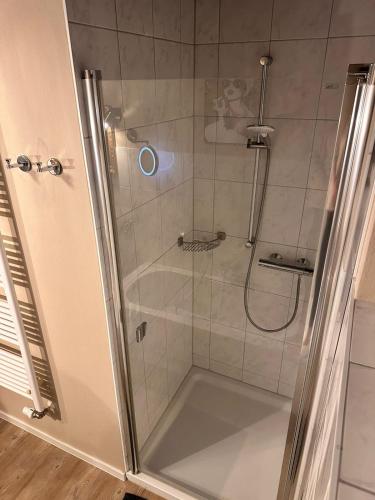 a shower with a glass door in a bathroom at Altes Zollhaus in Fehmarn