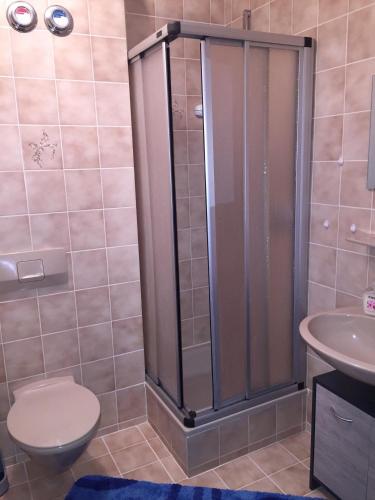 a bathroom with a shower with a toilet and a sink at Apartment Rose in Todtmoos