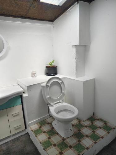 a bathroom with a toilet with a plant on the counter at The love shack atChaba in Ko Lanta