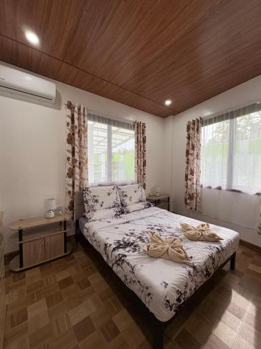 a bedroom with a bed and two windows at Sonnenblume Homestay in General Luna