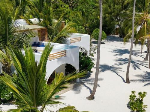 a house on the beach with palm trees at Kijani Beach Villas in Bwejuu