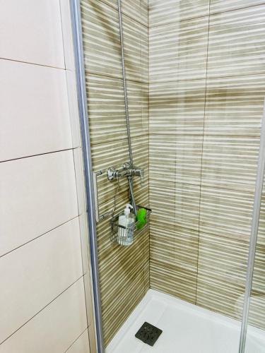 a shower in a bathroom with a glass door at ALAUDAE Apartamentos Parking Gratis plazas limitadas in Mérida