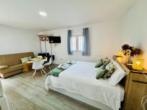a bedroom with a bed and a living room at ALAUDAE Apartamentos Parking Gratis plazas limitadas in Mérida