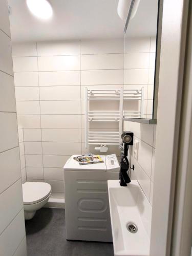 a bathroom with a sink and a toilet and a mirror at Schwert City Loft S41 2 BAD 2 WC 4 Schlafzimmer in Verden