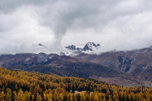 a view of a mountain range with trees and mountains at Schloss Hotel & Spa Pontresina in Pontresina