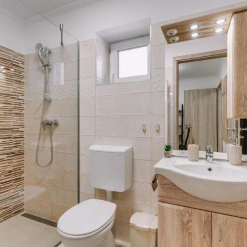a bathroom with a toilet and a sink and a shower at Békeapartmanház in Badacsonytomaj
