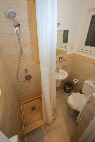 a bathroom with a shower and a toilet and a sink at Hapi Hotel in Aswan