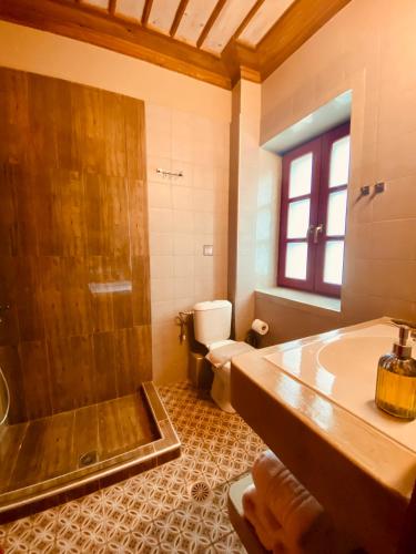a bathroom with a tub and a toilet and a sink at Meliteion Traditional Hotel in Asprangeloi