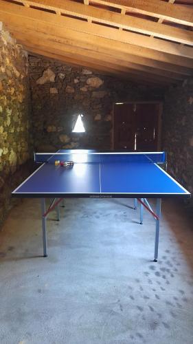 a blue ping pong table in a room at Casa Laranjeira in Vale de Cameiro