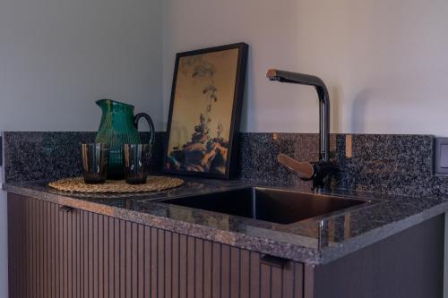 a kitchen counter with a sink and a picture at The White Brig in Hudiksvall