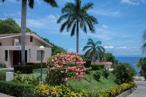 Jardin de l'établissement Bahia Pez Vela Resort