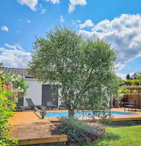 a tree in the middle of a yard with a pool at Newlook 1 in Trélissac