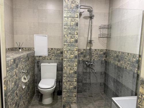 a bathroom with a toilet and a shower at A & A GLOBAL PROPERTY RENTALs in Yerevan