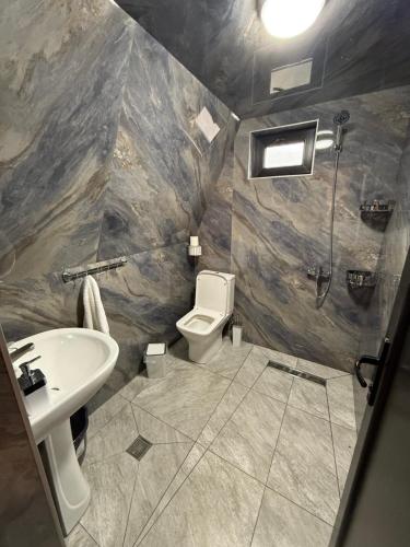 a bathroom with a sink and a toilet and a shower at Zaga Cottage in Kazbegi