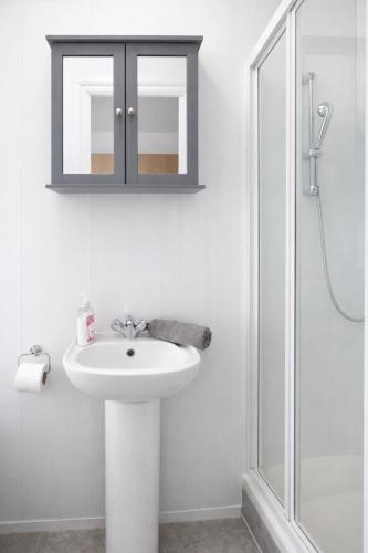 a white bathroom with a sink and a shower at Large Studio Garden Flat on Golders Green Road in London
