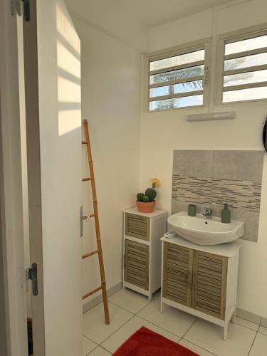 a bathroom with a sink and a ladder at Charmant T2 sur le robert in Le Robert