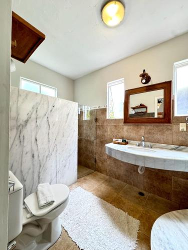 a bathroom with a toilet and a sink and a mirror at Pousada Villa Allegra in Tiradentes