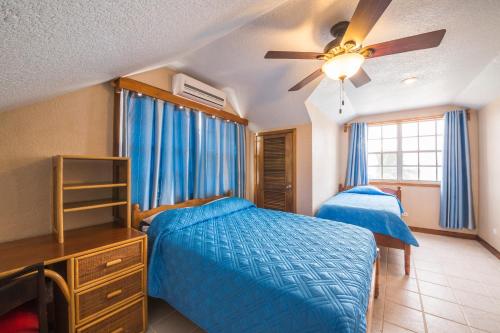 a bedroom with a blue bed and a ceiling fan at Casa Brisa Guest House in San Pedro