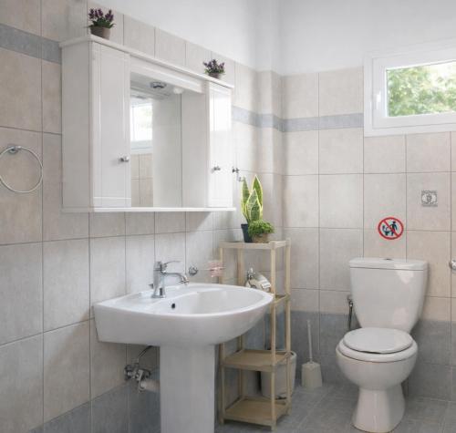 a bathroom with a white sink and a toilet at Konitsa Horizon Villa in Konitsa