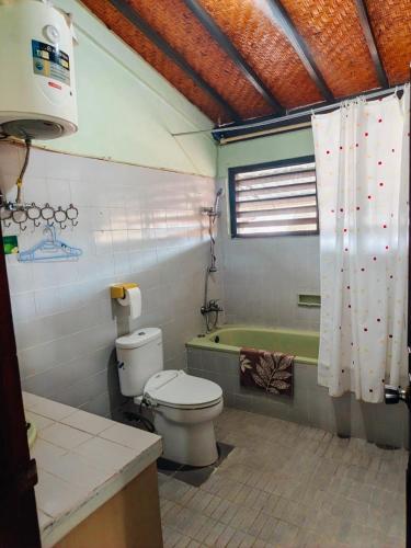 a bathroom with a toilet and a bath tub at Widi House in Nusa Dua