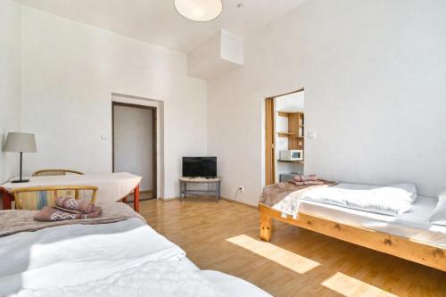 a room with two beds and a television in it at Dusan Apartments in Orlová