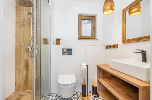 a bathroom with a sink and a toilet and a shower at Domki SOSNOWY PARK in Białogóra