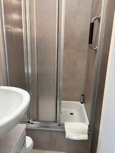 a bathroom with a shower with a toilet and a sink at Eichhörnchenblick in Hahnenklee-Bockswiese
