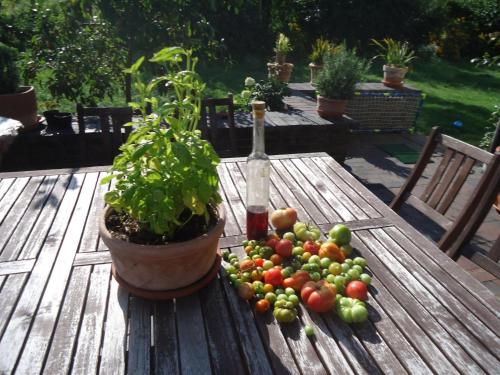Apartment in ruhiger Lage am Waldrand by Interhome