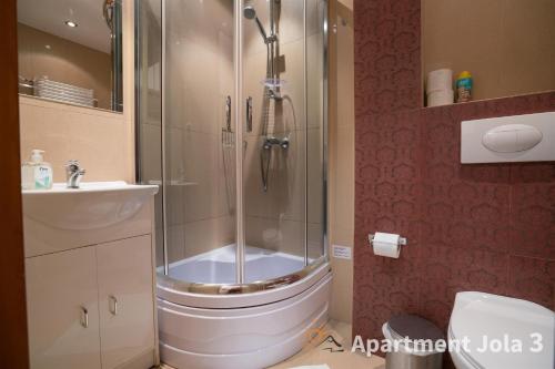 y baño con ducha, aseo y lavamanos. en Apartamenty Jola, en Szklarska Poręba