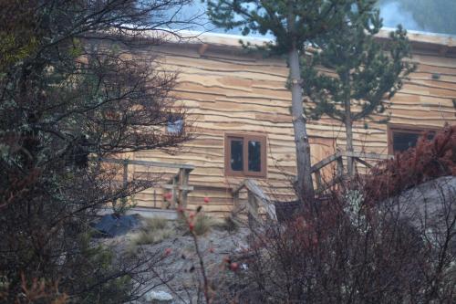 a wooden house with a tree in front of it at Baker Domo Lodge in Cochrane