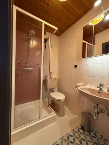 a bathroom with a shower and a toilet and a sink at Haus RuHe in Döllach