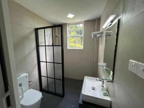a bathroom with a toilet and a sink and a mirror at Hillkandy in Kengalla