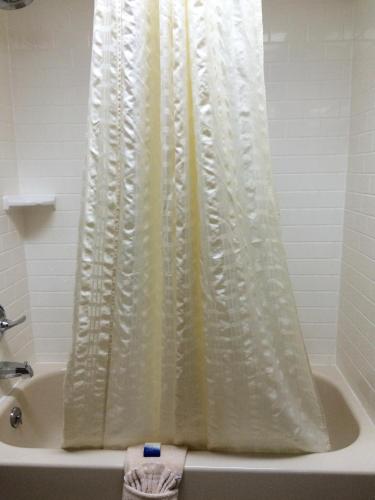 a shower curtain in a bathroom with a tub at Best Western Plus Galleria Inn & Suites in Memphis