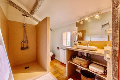 a bathroom with a sink and a mirror at Bastide Saint-Didier in Saint-Didier