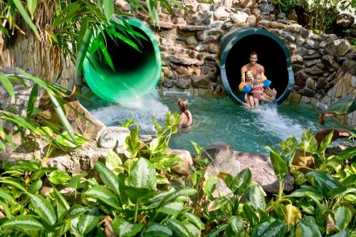 Gæster der bor på Center Parcs Erperheide