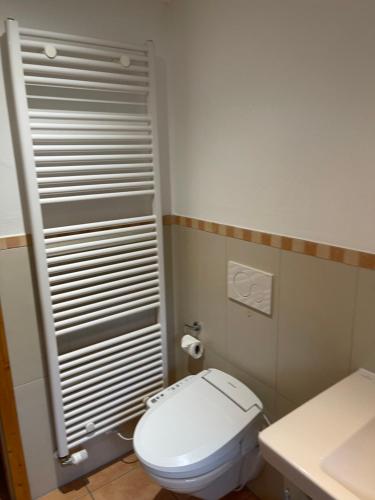 a small bathroom with a white toilet and a sink at Ferienhaus Sprink Vulkaneifel in Strohn