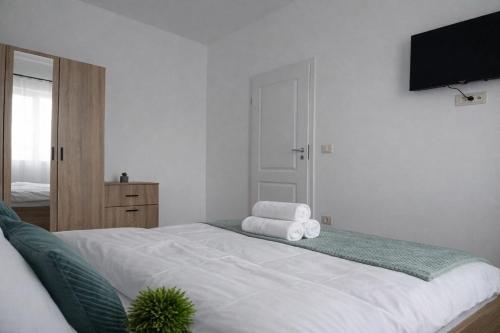 a bedroom with a large bed with a tv on the wall at Hera Exclusive Stay 2 in Timişoara