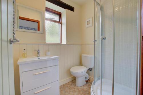a bathroom with a toilet and a shower and a sink at 2 Bed in Carmel oc-wai211 in Llanerchymedd