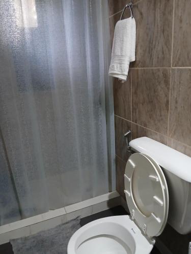 ein Badezimmer mit Toilette und Dusche in der Unterkunft La isabela in Mar del Plata