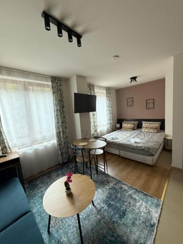 a living room with a couch and a bed at Panorama Studio Home2Host in Bansko