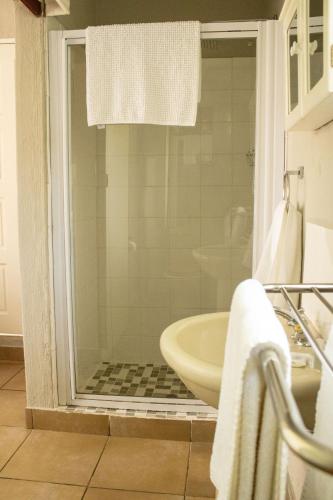 ein Badezimmer mit Dusche und Waschbecken in der Unterkunft De Witte Loft in Newcastle