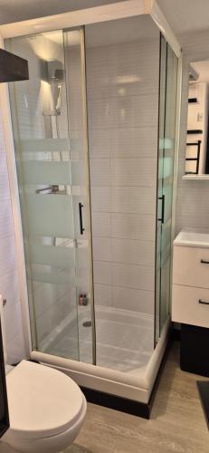 Superbe T2 mezzanie, 200m du village naturiste, clim, wifi, piscine