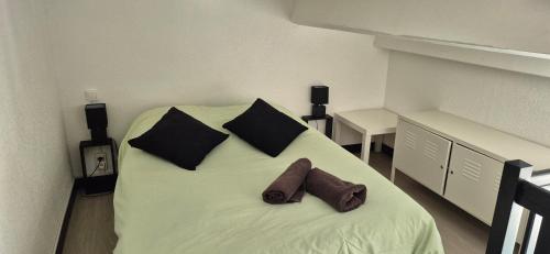 Superbe T2 mezzanie, 200m du village naturiste, clim, wifi, piscine
