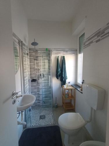 ein Badezimmer mit Toilette, Waschbecken und Dusche in der Unterkunft casa cinna in Montà