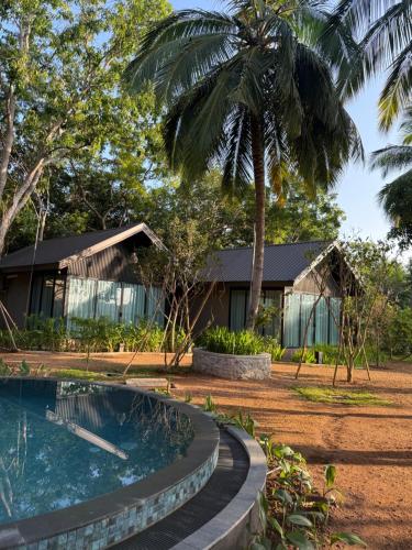a house with a swimming pool and a palm tree at Ceylan trees in Kataragama