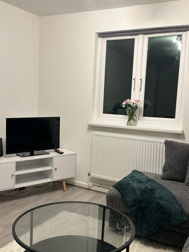 a living room with a tv and a glass table at Leiecster Home in Wellington