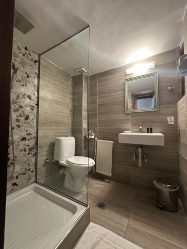 a bathroom with a toilet and a sink and a shower at Varosi Guesthouse in Edessa